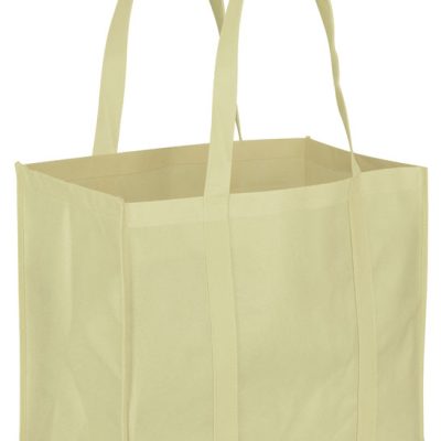 (BP-05) Bolsa Ecológica Gigante