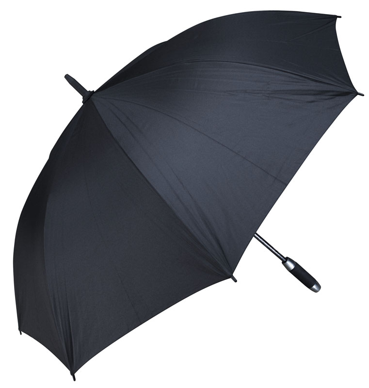 (PI-36) Paragua Ejecutivo