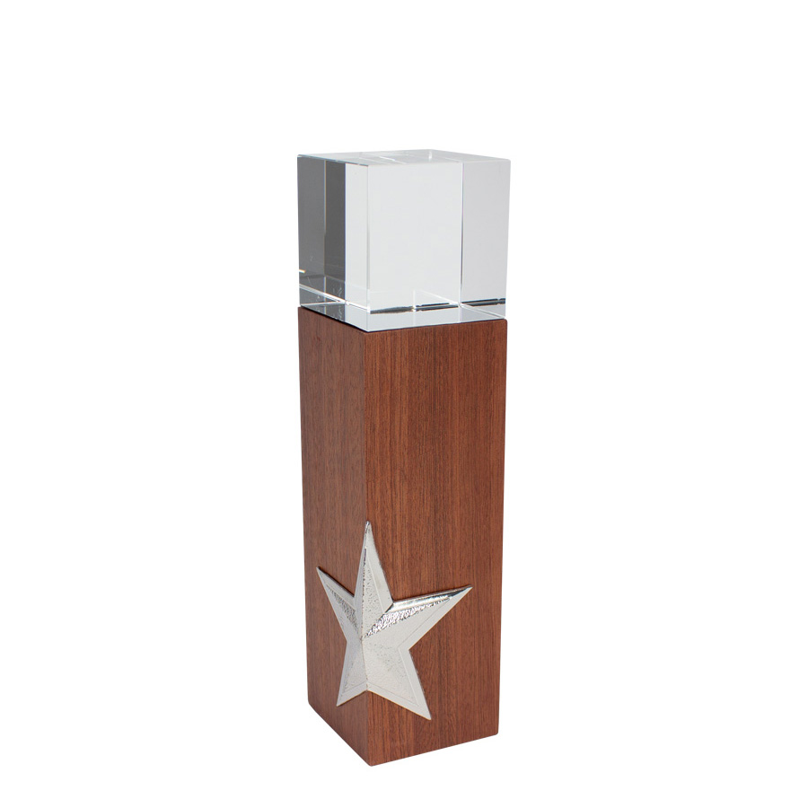 Trofeo Madera Cristal Art